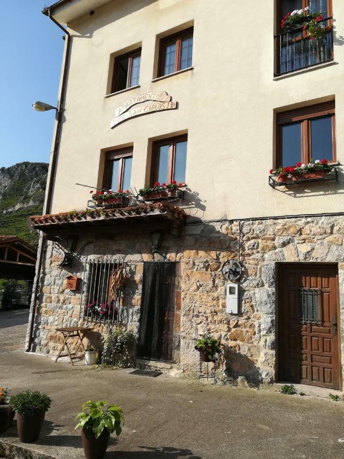 Pico San Carlos Ll Apartment
